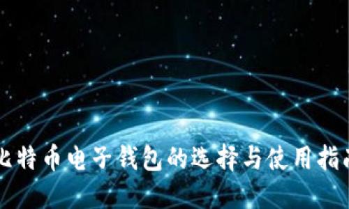 比特币电子钱包的选择与使用指南