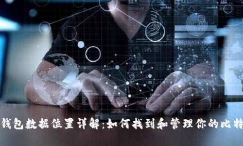 比特币钱包数据位置详解：如何找到和管理你的比特币数据