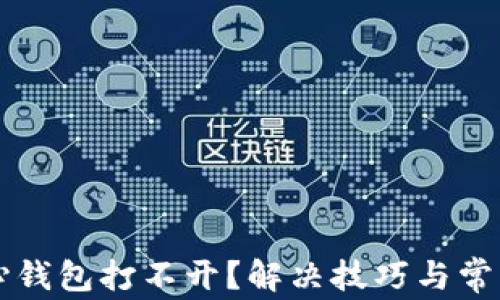 
比特币核心钱包打不开？解决技巧与常见问题解析