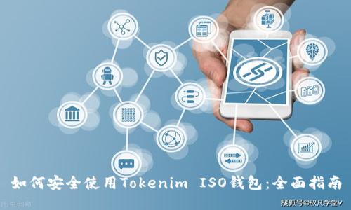 如何安全使用Tokenim ISO钱包：全面指南