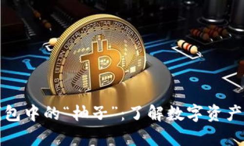 解析以太坊钱包中的“柚子”：了解数字资产的存储与管理