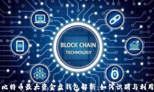
比特币最大资金盘钱包解析：如何识别与利用