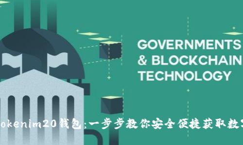 下载Tokenim20钱包：一步步教你安全便捷获取数字资产