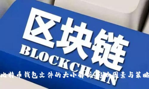 比特币钱包文件的大小解析：影响因素与策略
