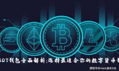  USDT钱包全面解析：选择最