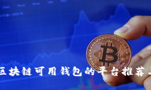 bian国内区块链可用钱包的平台推荐与使用指南