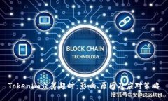 Tokenim众筹超时：影响、原