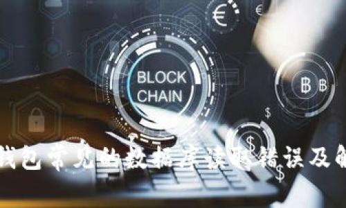 比特币钱包常见的数据库读取错误及解决方案