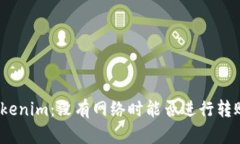 Tokenim：没有网络时能否进