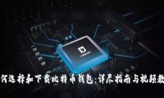 如何选择和下载比特币钱