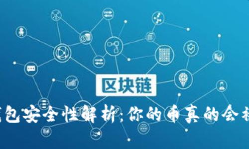 比特币钱包安全性解析：你的币真的会被偷走吗？