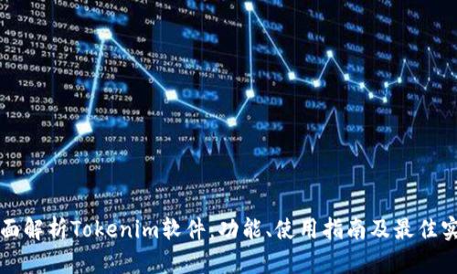 全面解析Tokenim软件：功能、使用指南及最佳实践
