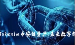 全面解析Tokenim币安链资产