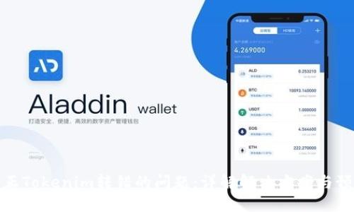 如何纠正Tokenim转错的问题：详解解决方案与预防措施