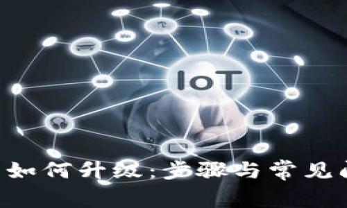 LTC钱包如何升级：步骤与常见问题解析