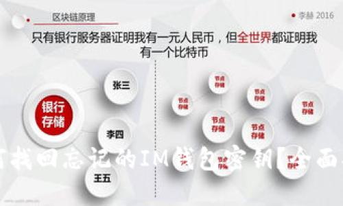 如何找回忘记的IM钱包密钥？全面指南